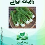 بذر رازیانه