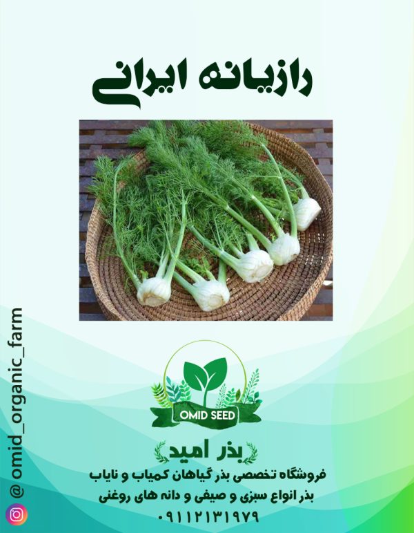 بذر رازیانه - تصویر 1
