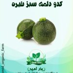 بذر کدو خورشتی دلمه سبز تیره