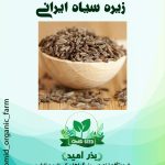بذر زیره سیاه ایرانی