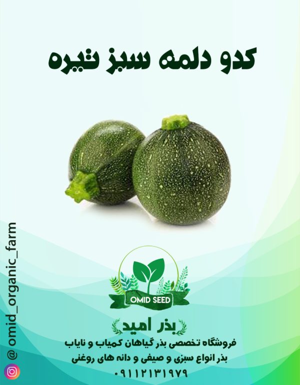 بذر کدو خورشتی دلمه سبز تیره - تصویر 1