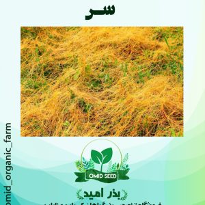 بذر سِس