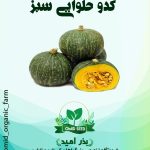 بذر کدو حلوایی سبز