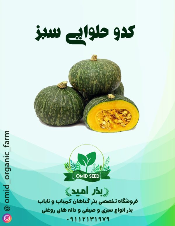 بذر کدو حلوایی سبز - تصویر 1