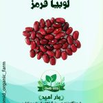 بذر لوبیا قرمز
