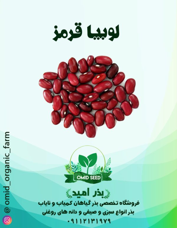 بذر لوبیا قرمز - تصویر 1
