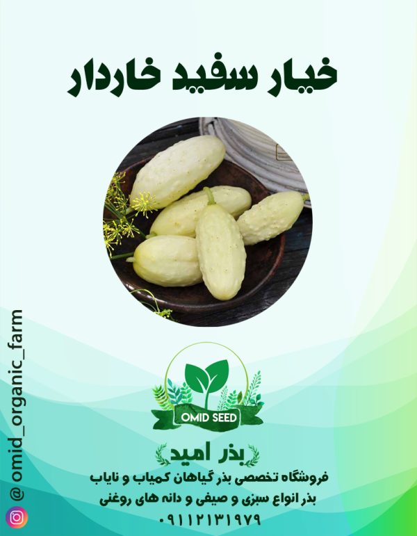 بذر خیار سفید تیغدار - تصویر 1