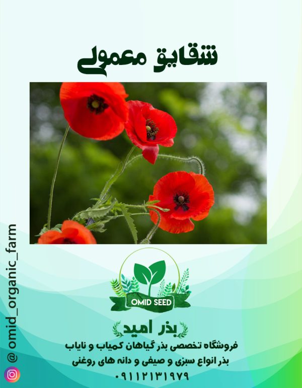 بذر گل شقایق معمولی - تصویر 1