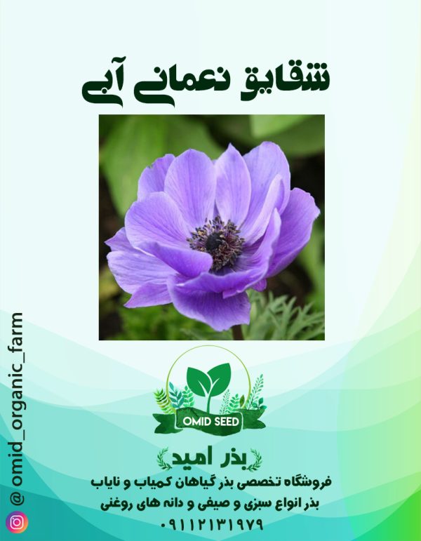 بذر گل نعمانی آبی - تصویر 1