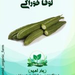 بذر لوفا خوراکی هیبرید