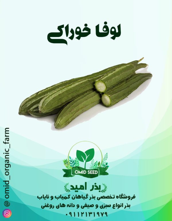 بذر لوفا خوراکی هیبرید - تصویر 1