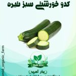 بذر کدو خورشتی سبز تیره هیبرید ( شرکت انزا )