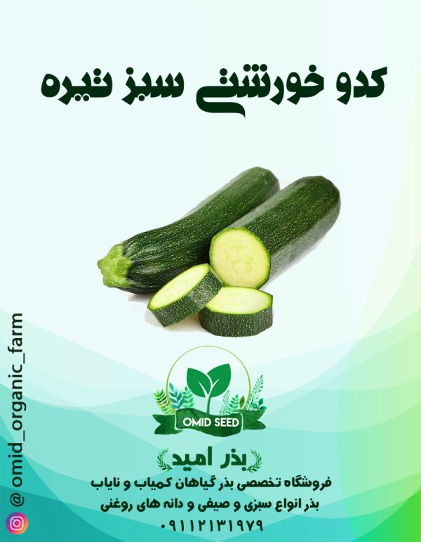 بذر کدو خورشتی سبز تیره هیبرید ( شرکت انزا ) - تصویر 1
