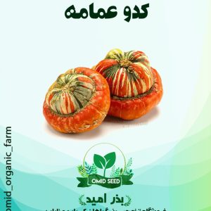 بذر کدو عمامه