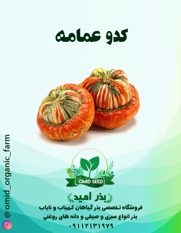 بذر کدو عمامه - تصویر 1