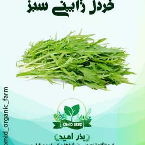 بذر خردل ژاپنی سبز