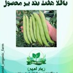 بذر باقلا برکت 7 بند ثمین