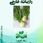 بذر رازیانه URJ