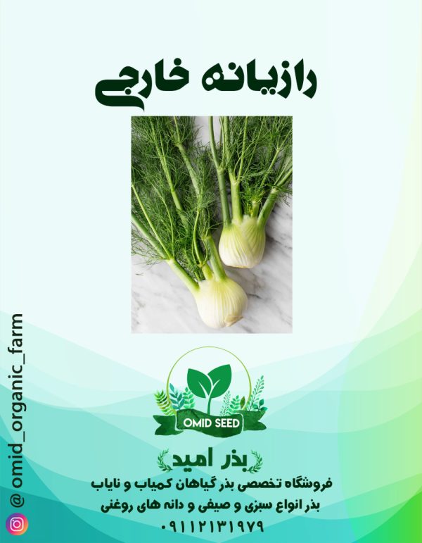 بذر رازیانه URJ - تصویر 1