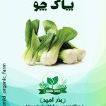 بذر پاک چوی تاکیتا