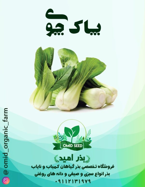 بذر پاک چوی تاکیتا - تصویر 1