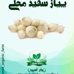 بذر پیاز سفید محلی