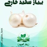 بذر پیاز سفید خارجی