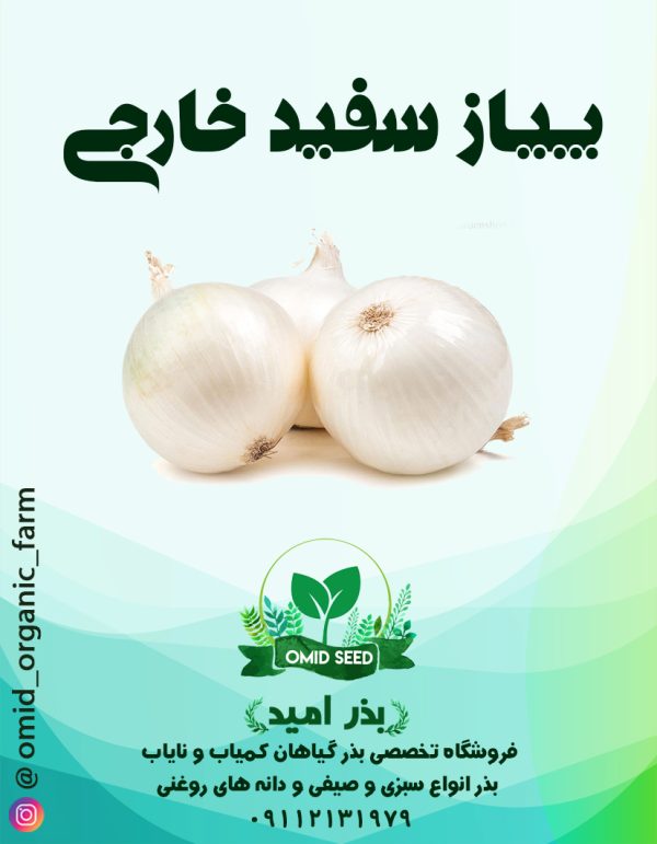 بذر پیاز سفید خارجی - تصویر 1