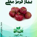بذر پیاز قرمز محلی