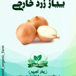 بذر پیاز زرد خارجی