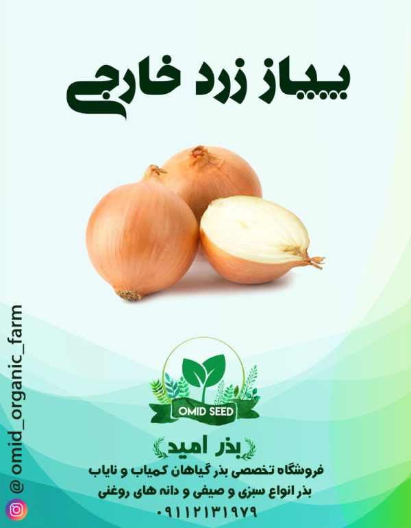 بذر پیاز زرد خارجی - تصویر 1