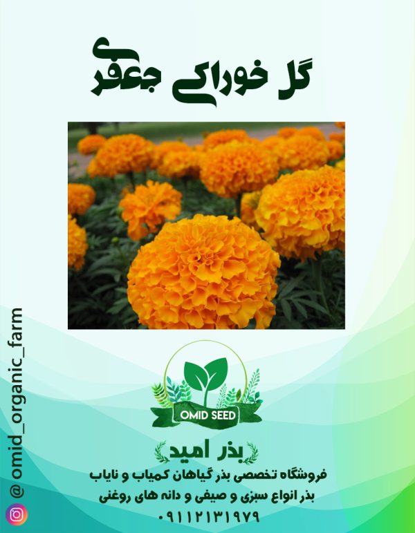 بذر گل جعفری خوراکی - تصویر 1