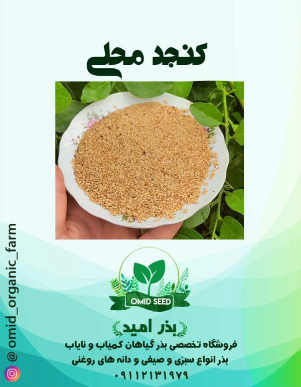 بذر کنجد محلی - تصویر 1