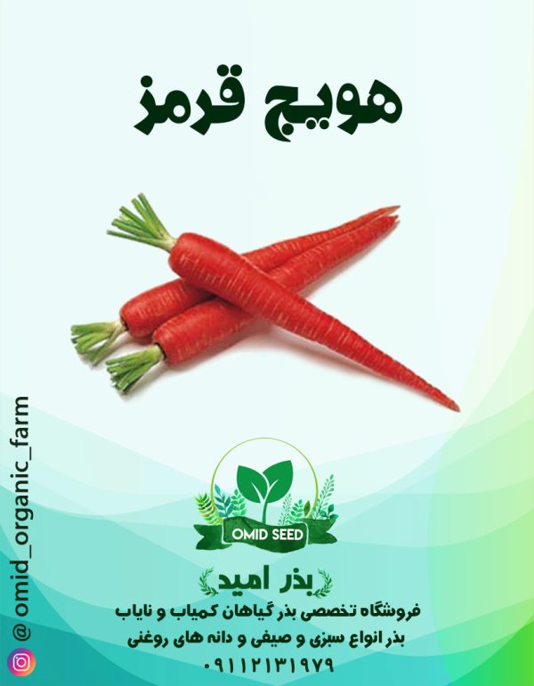 بذر هویج قرمز URJ - تصویر 1