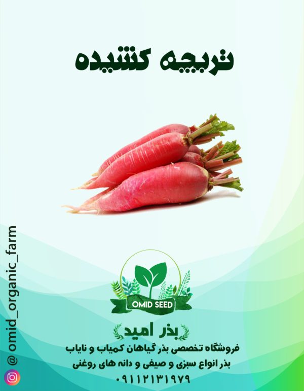بذر تربچه بادامی - تصویر 1