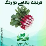 بذر تربچه بادامی دو رنگ