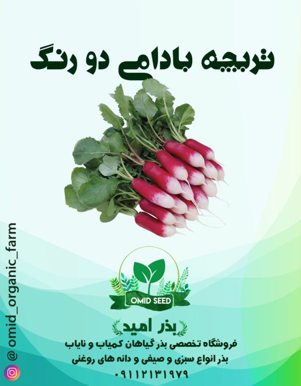 بذر تربچه بادامی دو رنگ - تصویر 1