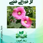بذر گل ختمی خوراکی