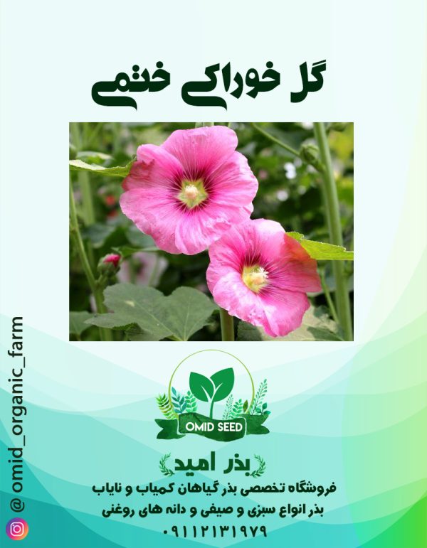 بذر گل ختمی خوراکی - تصویر 1