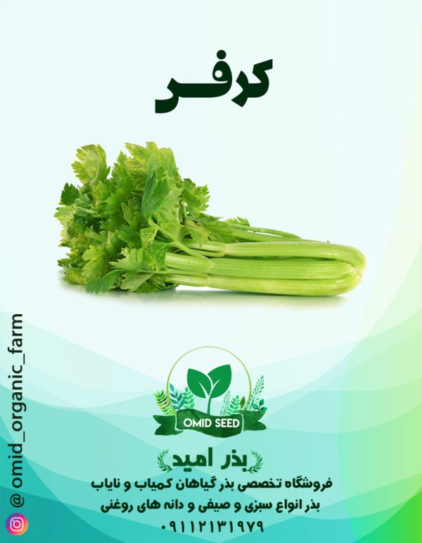 بذر کرفس - تصویر 1