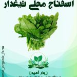 بذر اسفناج تیغدار ( اسفناج محلی )
