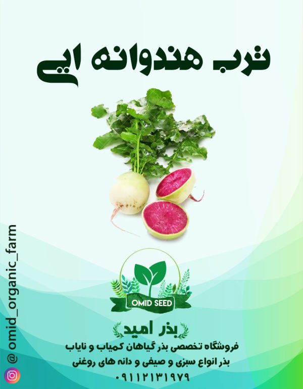 بذر ترب هندوانه ایی - تصویر 1