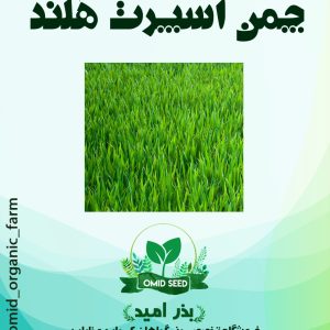 بذر چمن اسپرت هلندی ( 5 تخم )
