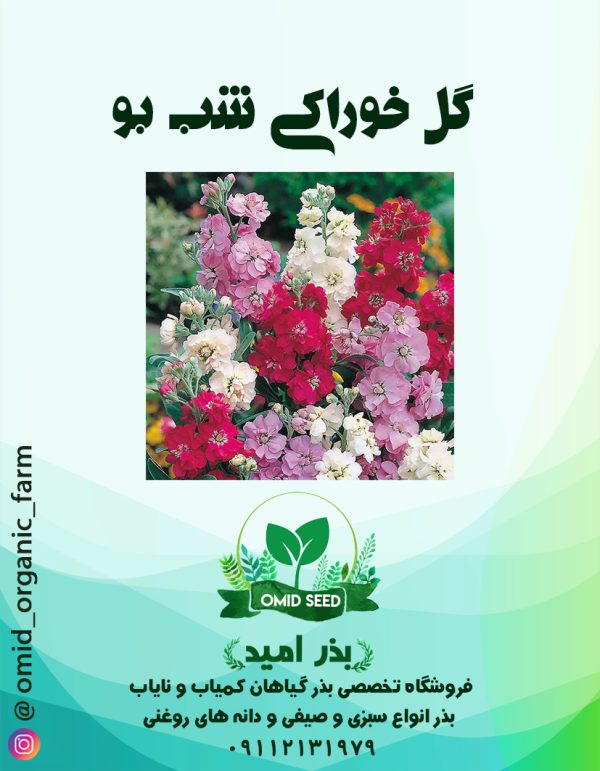بذر گل شب بو خوراکی - تصویر 1