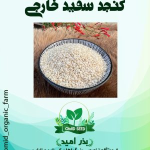 بذر کنجد خارجی سفید
