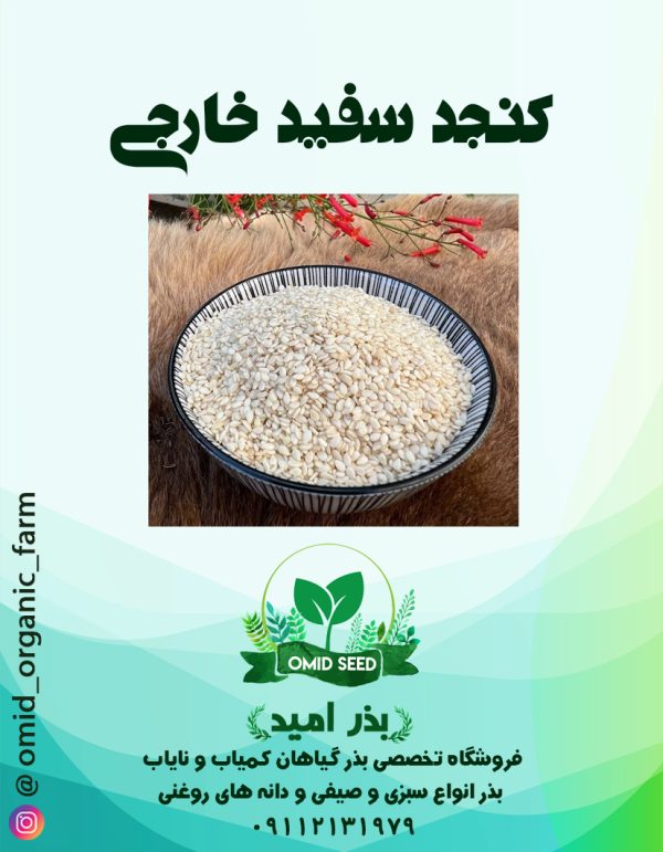 بذر کنجد خارجی سفید - تصویر 1