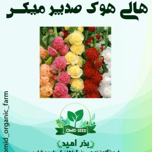 بذر گل هالی هوک صدپر وارداتی