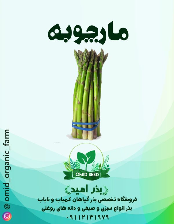 بذر مارچوبه تاکیتا ژاپن - تصویر 1