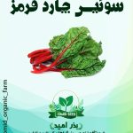 بذر سوئیس چارد قرمز