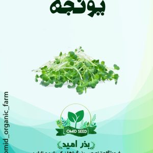 بذر یونجه